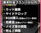 YouTube動画を丁寧に編集します テレビ風テロップ／サムネイル対応／カット編集もお任せください イメージ2