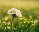 苦しい、辛いあなたに、そっと静かに寄り添います しんどい時は頑張らないで下さいね。大切なのはあなたです。 イメージ5