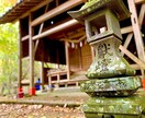 自然や動物、視界に入った何気ない風景等撮影してます 写真初心者ですが自分の力を確かめたい イメージ5