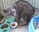癒されたいあなたへメッセージを贈らせていただきます ミえなくても、いつもそばにいるよ イメージ7