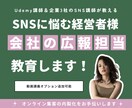 SNSに悩む経営者様へ｜御社の広報担当を教育します 企業3社のSNS講師＆Udemy講師が指導します イメージ1