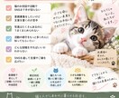 保護猫活動のInstagram投稿を作成します 写真を送るだけ！想いが伝わる投稿をお作りします イメージ2