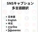 SNSキャプション多言語翻訳します 日、英、中、タイ、ミャンマー語対応可能！ イメージ1