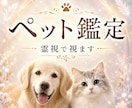 ペット鑑定 | 天国の家族とつなげますます 虹の橋のあの子の想い、届けます イメージ1