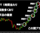 FXのトレーダー推奨の両建て手法をお教えします 5年に渡ってトレードしてきた自信を持ってお勧めする両建て手法 イメージ2