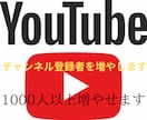 1000人YouTubeチャンネル登録者増やします YouTubeフォロワー宣伝します！フォロワー増加確実！ イメージ6
