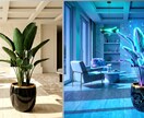 アナタのご自慢の観葉植物の写真をアートに変えます 世界でたった1つだけ、この感動は枯れない イメージ4