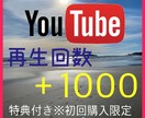 Youtube再生回数＋1000回増まで拡散します 初回購入限定の特典付き！！さらに再生回数を増やせます！ イメージ1
