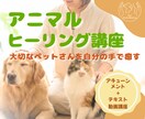 レイキアニマルヒーリングの講座をします ✤ 誰でも大切なペットさんの専属ヒーラーに イメージ1