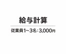 給与計算　正確・丁寧に代行します 現役経理が対応！　少人数からでも承ります！ イメージ1