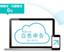 白色申告　承ります 一年間分の領収書、入力代行致します。 イメージ1