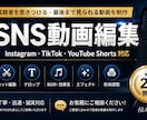 SNSショート動画を丁寧に編集します 視聴者を惹きつける動画を制作します イメージ1