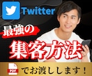 Twitterで、集客できる方法教えます 最強の副業、ビジネス、お小遣い稼ぎ、収入教えます！ イメージ1