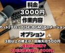 ハイクオリティなショート動画編集を承ります 格安でショート動画の編集をいたします！ イメージ2
