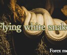神様のFlyingWhiteSnake手法教えます トレンドに沿い的確に押し目買い・戻り売りを繰り返す手法 イメージ1