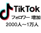TikTokフォロワー2000人〜増やします 最大2万人まで 安心のSNS運用 イメージ1