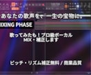歌ってみた等！貴方の歌声を最高に！MIXします 熟練のエンジニア技術であなたの歌声を商業レベルのクオリティへ イメージ1
