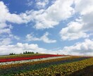 あなたが話したいこと何でも聞きます 結婚・子育て・親・相続・転職など、気軽にお話し下さい！ イメージ1