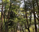 精神科ナースがメールでカウンセリング致します 貴方を前向きな強いメンタルにするお手伝いとなれば幸いです。 イメージ1