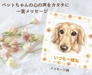 お空のあの子からのメッセージお届けします 質問3つ/アニマルコミュニケーションでお空の子と繋がります。 イメージ2