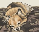 あたたかな雰囲気のあるペットイラストを描きます ペットの日常の写真をあたたかな雰囲気のイラストに仕上げます！ イメージ2