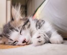 60分チャットし放題☆　あなたの心を癒します 後悔させません！あなたにとって最高の聞き相手になります♪ イメージ10
