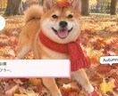 クーポン配布中 雑誌風うちの子動画作ります 9/30までお気に入りで30%オフ 雑誌をめくる犬猫動画 イメージ4