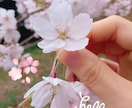 LINE感覚で♡恋愛相談なんでものります 友達みたいに、お姉ちゃんや妹みたいに、気軽に話しましょう♬︎ イメージ1