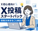 Xの最初の30日を作ります プロフィールから30日分の投稿・固定ポストまで作成 イメージ1