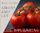 ６月末まで★【1,500円】WEB画像作成します パッと目に付く【バナーやココナラ画像】で他と差をつけよう！ イメージ5