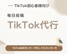 TikTok運用代行致します TikTok運用を丸投げ！集客・採用・収益化を運用致します イメージ1