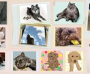 ペット似顔絵☆ロゴ付☆データ2種類！作ります 「リアル＆ほんわか＆可愛いっ」に「ゆるロゴ」まで付いちゃう イメージ7