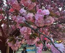 恋愛相談〜子育ての悩み聞きます 異性の気持ちが知りたい！自信が持てないあなたへ！ イメージ1