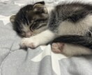 とにかく愚痴りたい！あなた以外回覧禁止します 女性専用、男性の僕に愚痴ってここでスッキリして行って下さい イメージ4