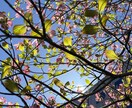 素敵なSNSアカウントをつくります 素材のコンセプトに沿ったInstagramアカウントの作り方 イメージ2