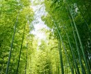 24時間以内、波動霊視であの人の本音を視ます 私の事どう思ってる？霊視で心の迷いに光を照し前へ導きます イメージ10