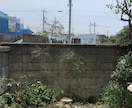 空き家の庭掃除！除草、庭木の剪定します 実家が！転勤で持ち家が！苦情が！を解決します。 イメージ4