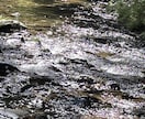 開運画像を販売します 神社やお寺、光、山や川や空、猫の画像で開運のお手伝いします！ イメージ8