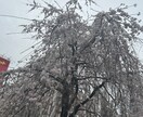 恋愛に関しての悩み事アドバイスします 〜悩める皆様の相談トークルームのメッセージにて承ります イメージ1