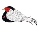 鳥好きさんのためのイラストを描きます ペットの鳥や推しの鳥がいる方向けのかわいいデフォルメイラスト イメージ2