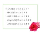 あなたの魂の計画をお伝えします 魂の計画を知ることで人生が好転します（メッセージカード付） イメージ3