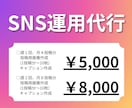 美容サロンのSNS運用代行します 美容サロン様向けのInstagram運用代行をします。 イメージ1