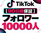 TikTokフォロワー500人増加します 【90日保証】幅広く拡散してフォロワー増加をサポート イメージ1