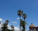 写真の加工・合成などお好みのお写真に仕立てます 迅速＆丁寧 お願いして良かったと喜んでいただけると幸せです イメージ1