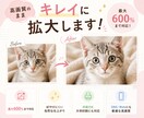 小さな写真を高画質で拡大します 最大600％まで対応！透かしサンプル確認後に納品します イメージ1