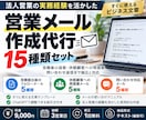 営業メール・追客文を15種類作成します 法人営業経験を活かし、見積後の追客や再提案を支援 イメージ1