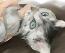 猫ちゃんかきます かわいい猫ちゃんを絵にしませんか イメージ3