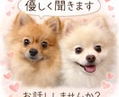 優しく話聞きます 「否定せず優しくお話聞きます」 イメージ1