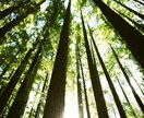 次の恋愛はいつ?誰?どこで出会う?詳しく視ます 次に出会うお相手の特徴、出会う時期など詳しく霊視 イメージ5