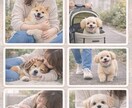 ペットが伝えたい今の気持ちを読み解きます この写真が呼び起こす、魂のメッセージ イメージ2